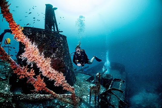 A ship wreck and diver